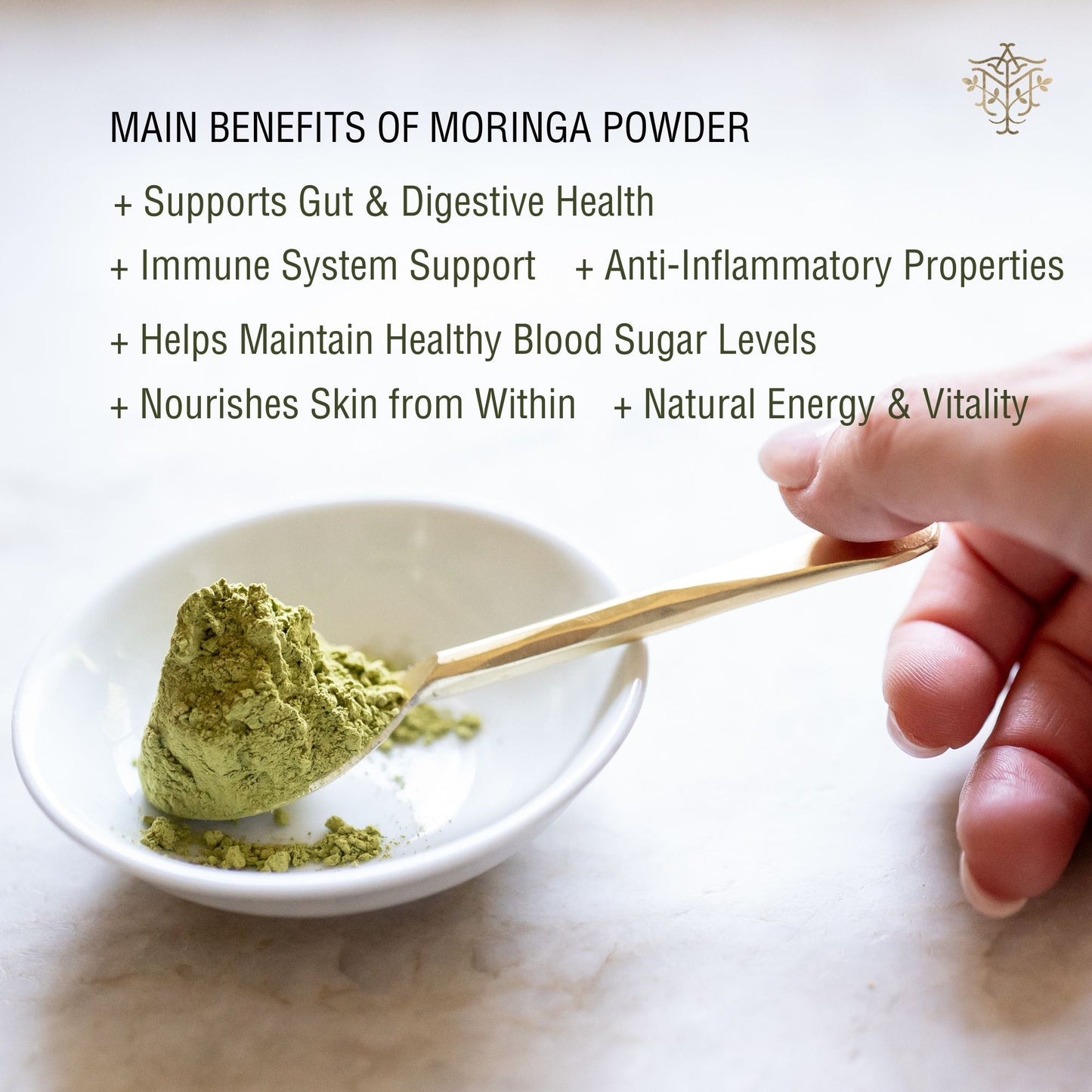 Premium Organic Moringa Oleifera Leaf Powder